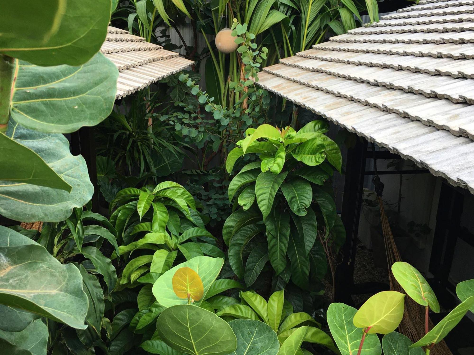 Su Kho Rom Always Home ศุโขรมย์ - Adults Only Chiang Mai Esterno foto