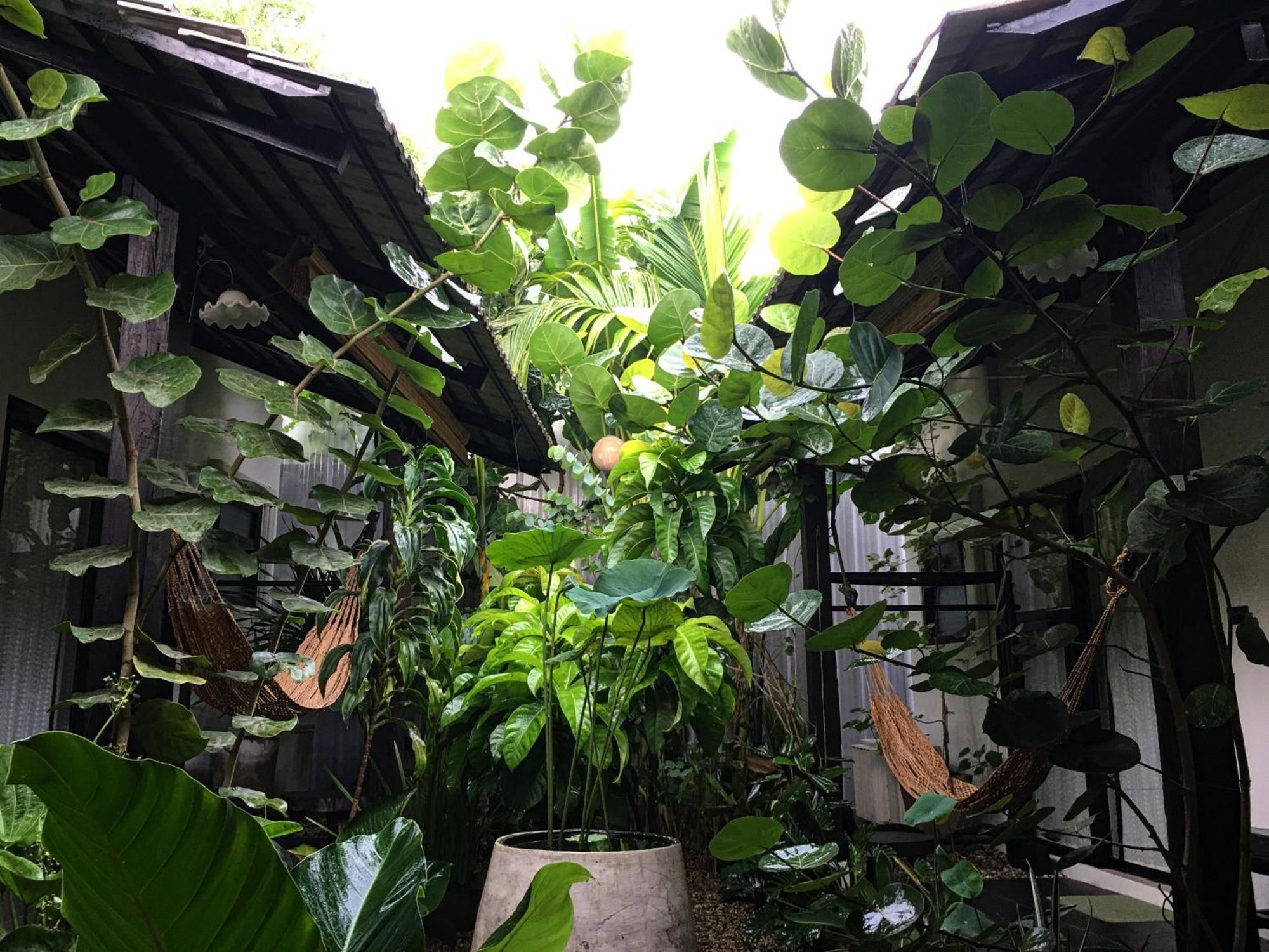 Su Kho Rom Always Home ศุโขรมย์ - Adults Only Chiang Mai Esterno foto