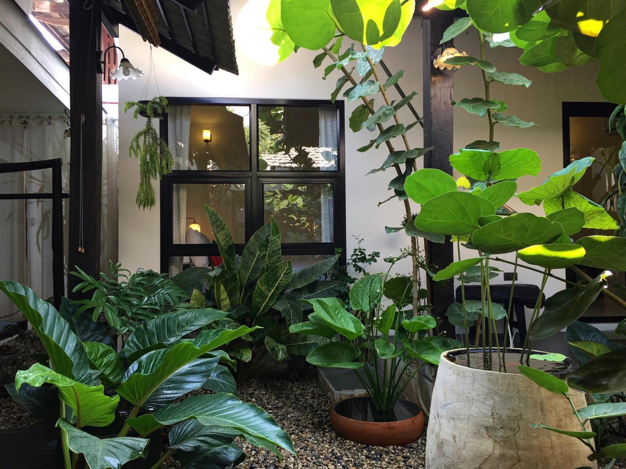 Su Kho Rom Always Home ศุโขรมย์ - Adults Only Chiang Mai Esterno foto